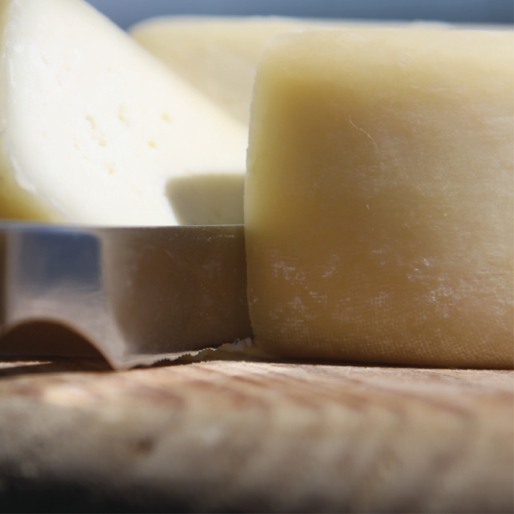 UE dá 259 mil euros para eliminar bolores e fatiar queijo da Serra